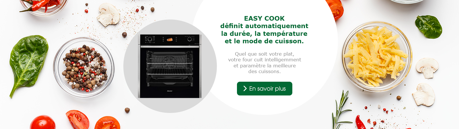 Sauter - fonction easy cook - FOURS