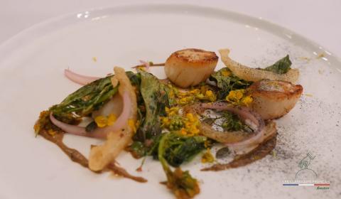 Coquilles saint-jacques
